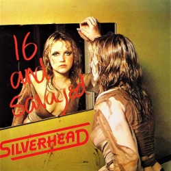 Silverhead 16